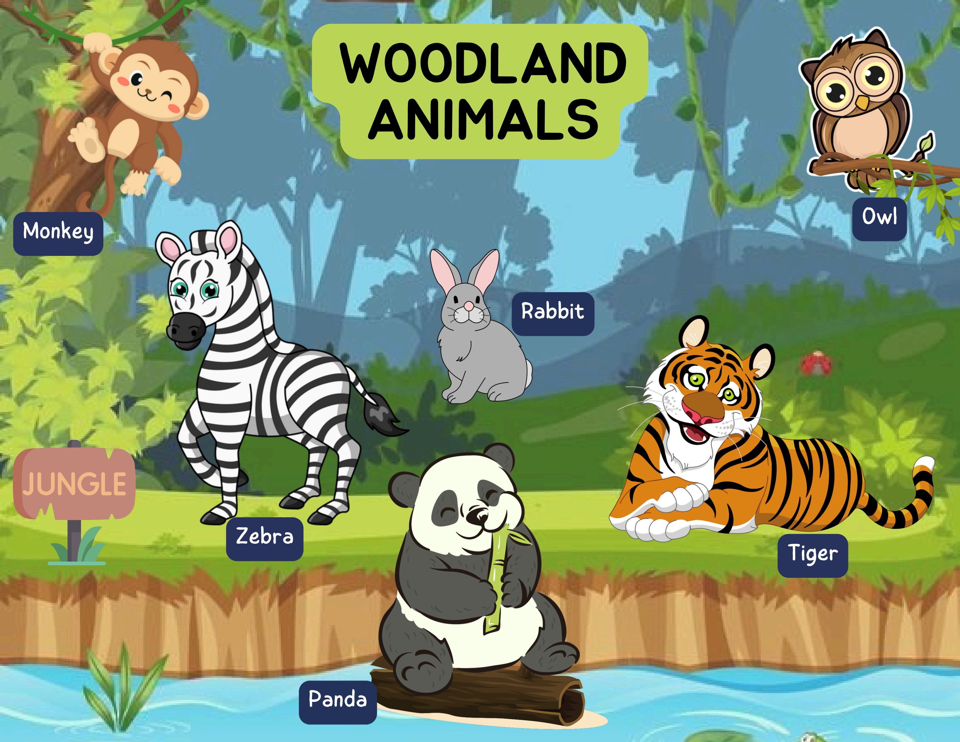 Jungle & Woodland Animals worksheet preview